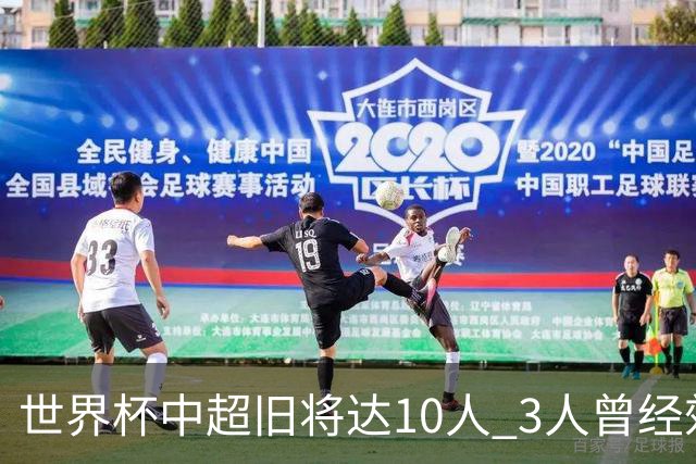 世界杯中超旧将达10人 3人曾经效力国安海港两将